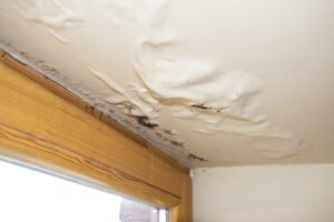 Interior ceiling showing significant water damage. Paint is bubbling and peeling across a wide area near a wooden window frame, with visible black mould along the wall-ceiling junction.